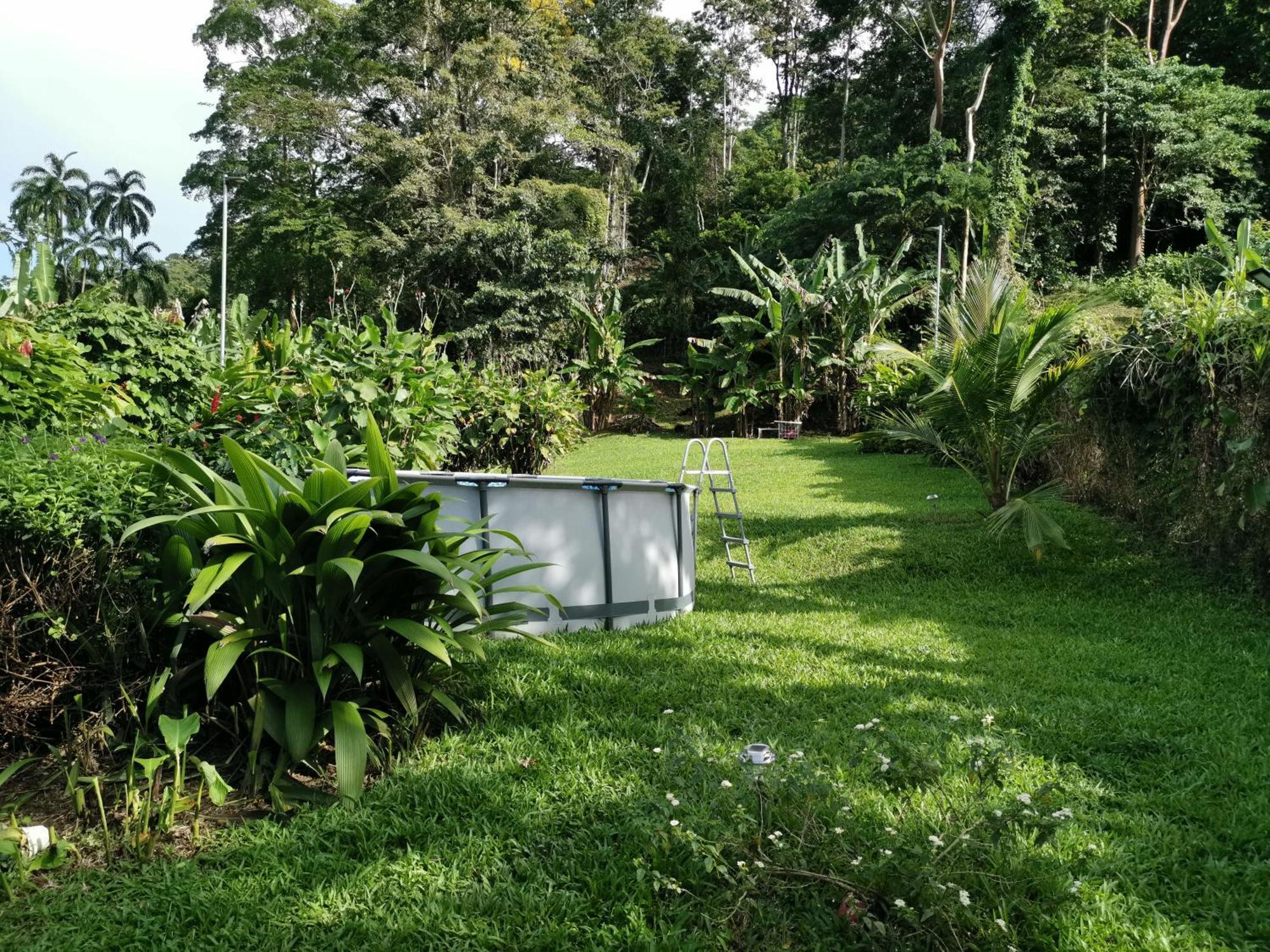 Casa Echavarria San José Oda fotoğraf