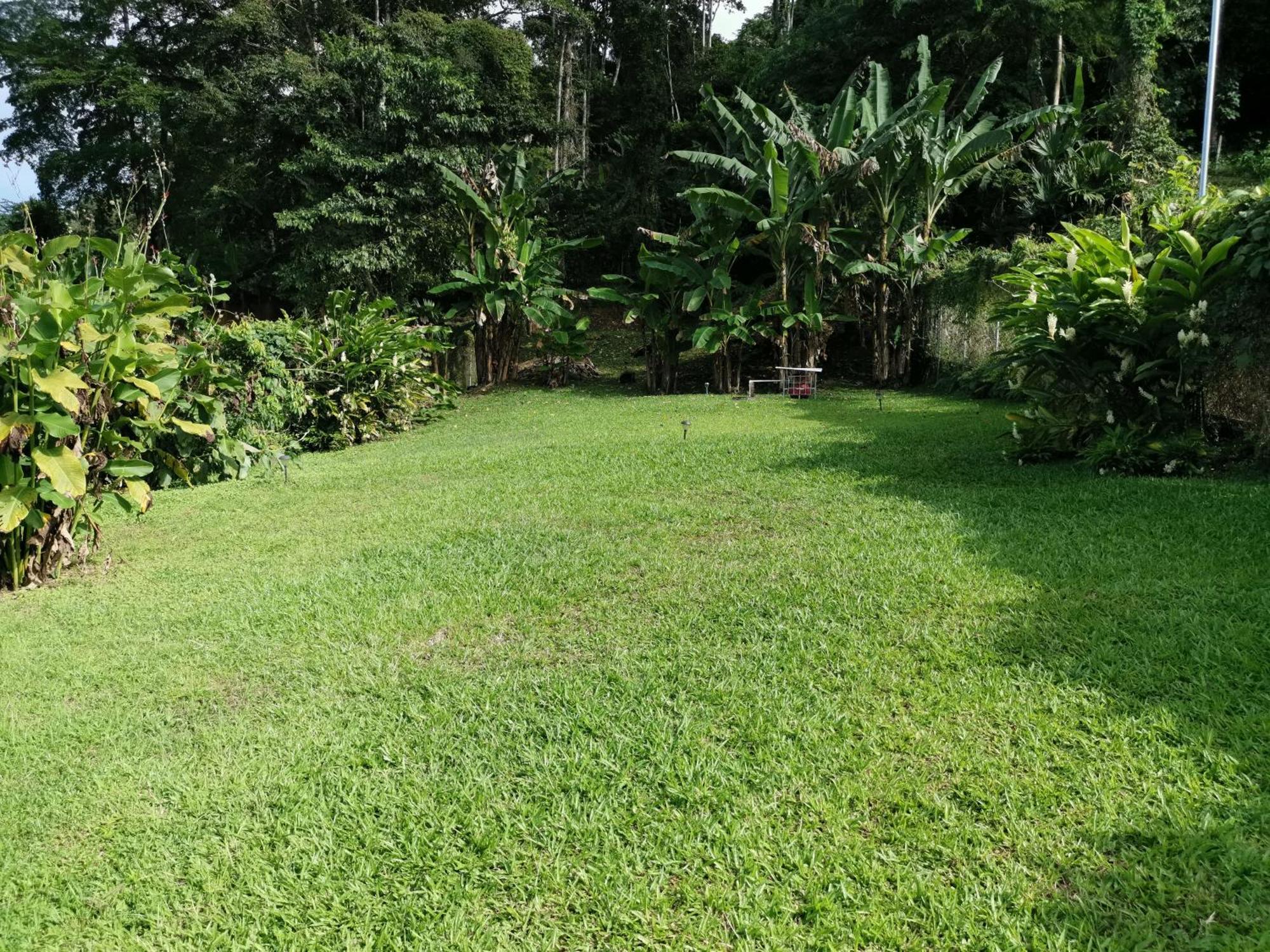 Casa Echavarria San José Oda fotoğraf