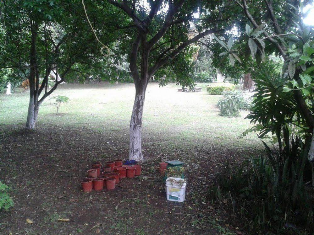 Casa Echavarria San José Dış mekan fotoğraf