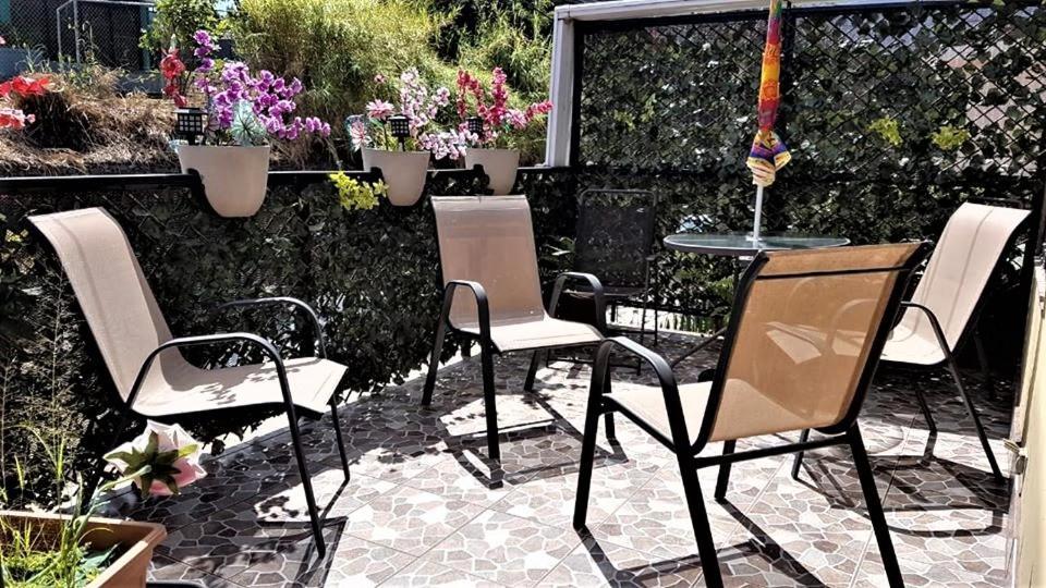 Casa Echavarria San José Dış mekan fotoğraf